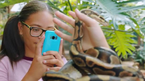 Teléfono Naturaleza Chica Con Serpiente Las Manos Disfrutando Viaje Zoológico — Vídeo de stock