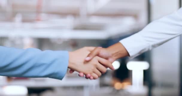 Firemní Partnerské B2B Handshake Podnikatelů Pro Profesionální Dohodu Společně Spolupráce — Stock video