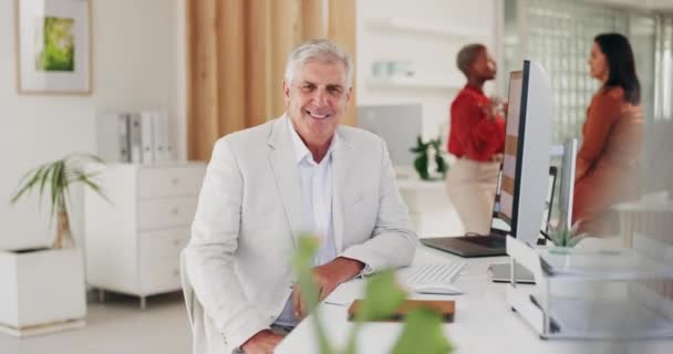 Cara Líder Hombre Negocios Senior Computadora Para Gestión Planificación Éxito — Vídeos de Stock