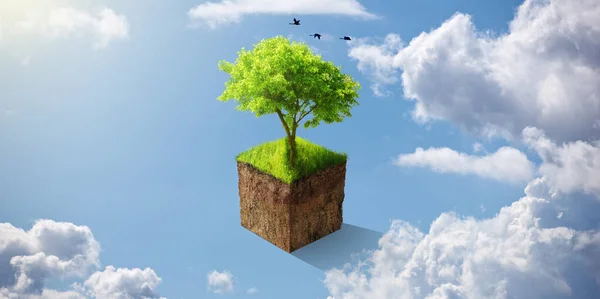 Sustainable, agriculture and eco friendly tree in the sky for earth day, clean energy and nature. Animation, ecology and green plant and leaves for sustainability with cloud and blue sky background