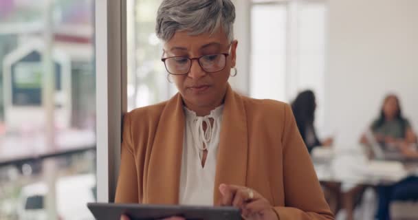 Tablet Skriva Och Senior Affärskvinna Upptagen Med Online Dokument Forskning — Stockvideo