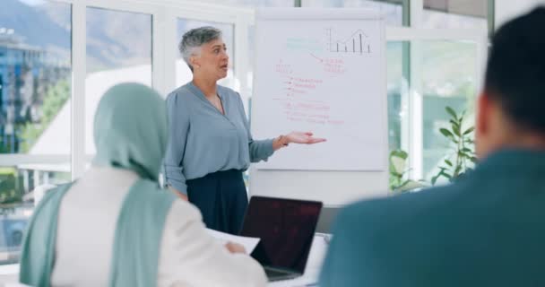Presentation Senior Woman Business People Meeting Planning Talking Speaking Sales — Stock Video