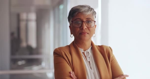 Tvář Vedení Starší Obchodní Žena Úřadu Připravena Cíle Nebo Cíl — Stock video