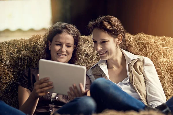 Check out this farming app I found. two female farmers using a tablet together while relaxing on a hay bale in a barn