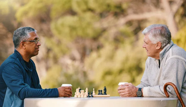 国际象棋 大自然和退休 在夏天和老朋友在户外玩木板游戏 与一个成熟的男人和朋友一起思考智力挑战的公园 策略和游戏 — 图库照片