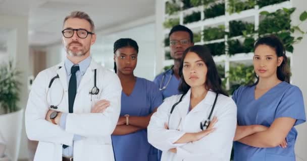 Doctors Nurses Team Healthcare Focus Portrait Professional Medicine Health Nursing — Stock Video