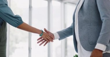 Handshake, office and business people in partnership, agreement or onboarding b2b contract. Meeting, company deal and professional colleagues shaking hands for welcome or greeting in the workplace