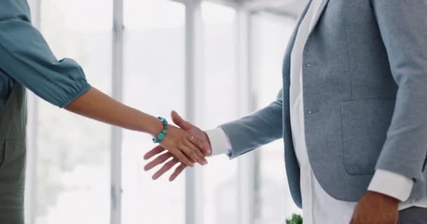 Handshake Office Business People Partnership Agreement Onboarding B2B Contract Meeting — Stockvideo