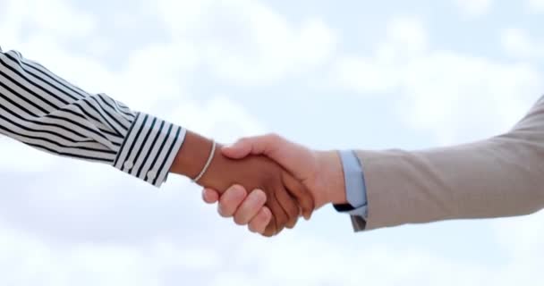 B2B Handshake Business People Hands Marketing Partnership Collaboration Company Success — Wideo stockowe