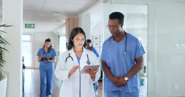 Healthcare Doctor Nurse Walking Tablet Hospital Lobby Advice Report Online — Stock Video