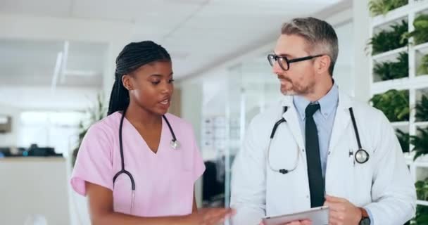 Healthcare Doctor Nurse Walking Tablet Hospital Lobby Advice Report Online — Video Stock