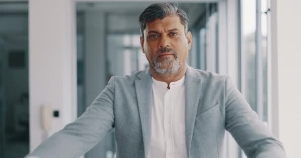 Ceo Face Senior Businessman Leadership Success Mindset Corporate Experience Office — Stok video