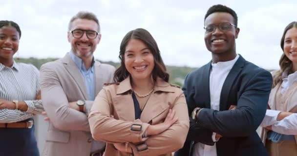 Empresários Cara Sorriso Com Braços Cruzados Trabalho Equipe Diversidade Visão — Vídeo de Stock