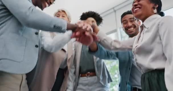 Celebration Hand Stack Happy Business People Celebrating Successful Teamwork Collaboration — Vídeos de Stock