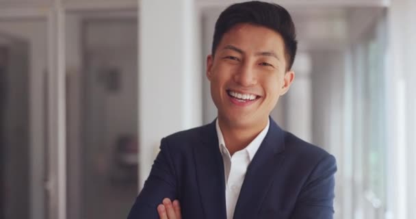 Face Business Asian Man Arms Crossed Leader Smile Office Management — Stock Video