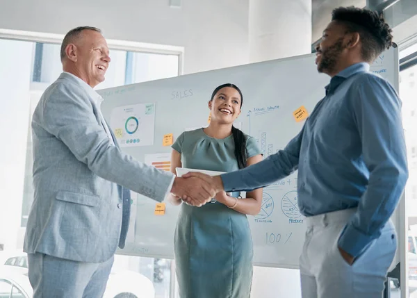 Teamwork, collaboration and business people handshake for partnership, b2b or hiring contract. Welcome, thank you and group, employees or workers shaking hands for onboarding, recruitment or deal