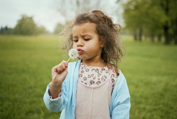 Nature, relax and child with blowing a dandelion for a wish, playing and exploring on a field in Norway. Spring, playful and girl with a flower plant in a park for calm, peace and outdoor adventure.