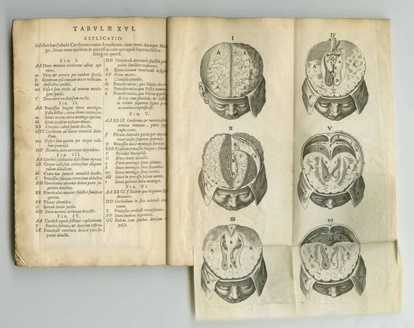 Old medicine and science journal. An old medical book with its pages on display