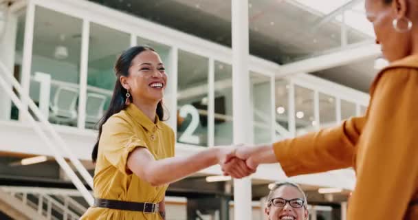 Business Meeting Women Shaking Hands Partnership Teamwork Trust Office Happy — Stockvideo
