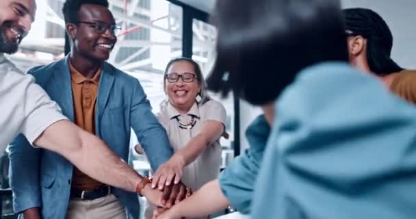 Hands Business Team Office Meeting Diversity Happy Success Innovation Motivation — Stok video