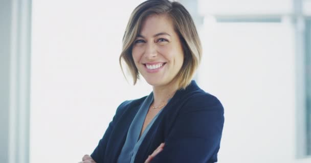 Business Woman Manager Portrait Smile Leadership Vision Career Success Ambition — Vídeo de stock