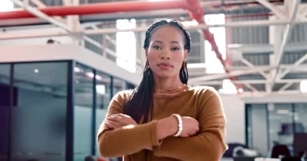 Portrait Leader Business Woman Vision Startup Goal Future Proud Ambition — Stockvideo