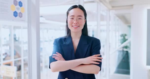 Happy Smile Face Business Woman Office Management Leadership Vision Professional — Vídeo de stock