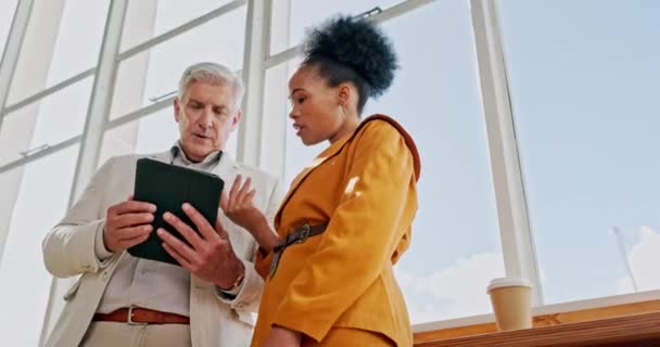 Senior Executive Man Black Woman Tablet Collaboration Discussion Technology Team — Vídeo de Stock