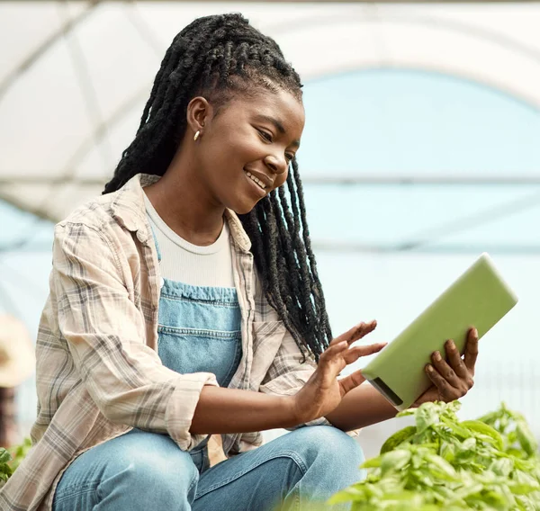 happy farmer using a wireless digital device. Young farmer checking her plants with a tablet. African american farmer checking plant growth. Farm worker in her greenhouse garden using a tablet