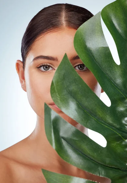 .Portrait of unknown woman covering her face with a green monstera plant leaf. Headshot of caucasian model posing against a grey background in a studio with smooth skin and a fresh healthy skincare.