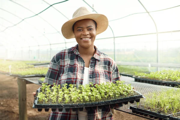 Portrait of a farmer holding plants. African american farmer carrying a tray of plants. Farmer holding growing seedlings. Young farmer holding growing saplings.Happy african american farmer.