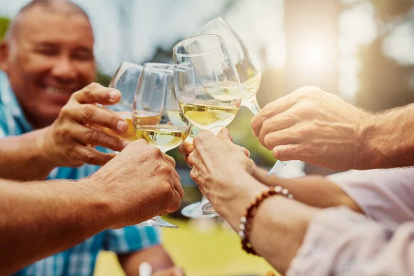 Unknown group of diverse friends toasting with wineglasses on vineyard. Happy group of people sitting together and bonding during a wine tasting on a farm during the weekend. Friends enjoying alcohol.