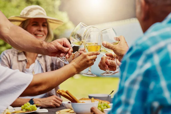 Diverse group of friends toasting with wineglasses on vineyard. Happy group of people sitting together and bonding during wine tasting on farm over a weekend. Friends enjoying white wine and alcohol.