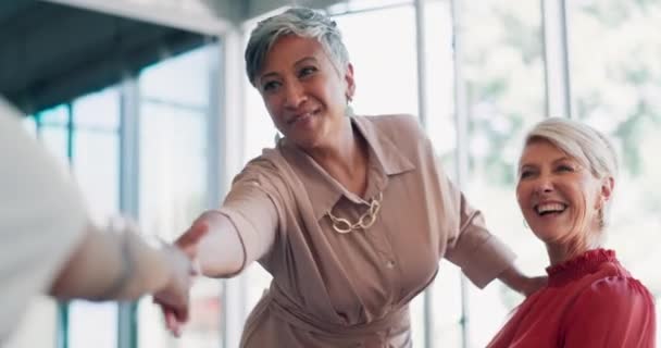 Meeting Handshake Collaboration Business Woman Partnership Her Team Boardroom Welcome — Vídeos de Stock