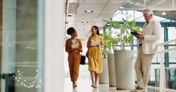 Επιχειρηματίες Που Μιλούν Και Περπατούν Στο Γραφείο Για Αρχίσουν Εργάζονται — Αρχείο Βίντεο
