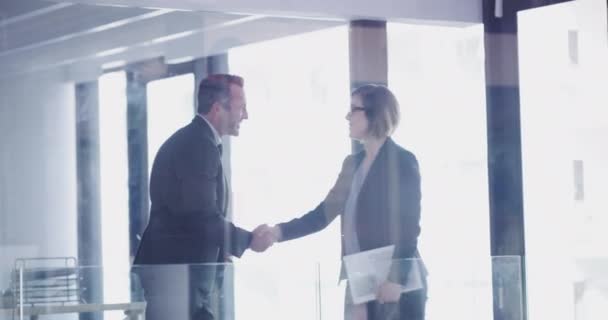 Handshake Welcome Business People Meeting Success Deal B2B Teamwork Finance — Stock videók