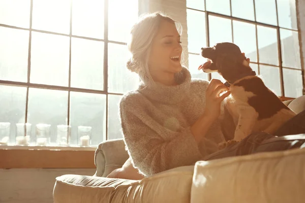 Woman Dog Couch Living Room Happiness Sunshine Girl Happiness Bonding — Φωτογραφία Αρχείου