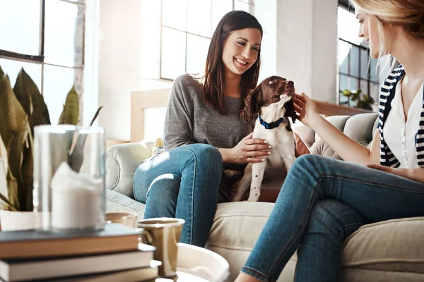 Women, friends and relax with dog on sofa in living room for calm, peace and quality time with pet. Puppy, lifestyle happiness and animal care in home with female owners for love or support on couch.
