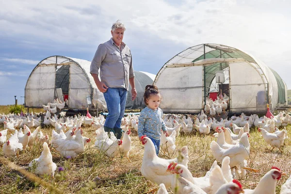 Its more than a business, its a lifestyle. a mature man bonding with his granddaughter on a poultry farm