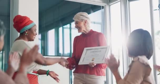 Applause Certificate Handshake Business Woman Meeting Goal Thank You Winner — Wideo stockowe