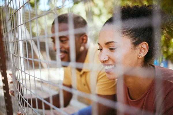 Happy couple, fence and smile at animal shelter, pet centre or zoo looking for a cute companion to adopt. Black man and woman smiling in happiness behind fencing for adorable fluffy pups for adoption.