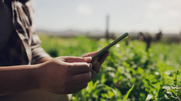 Staying Date World Farming Unrecognisable Man Using Digital Tablet While — Φωτογραφία Αρχείου