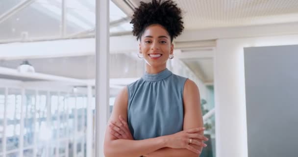 Happy Smile Face Business Woman Office Management Leadership Vision Professional — Vídeo de Stock