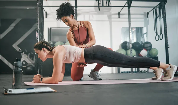 Fitness, plank or personal trainer at gym with woman for training, exercise or workout at health club. Women, focus or healthy sports athlete exercising with coach for progress, support or motivation.