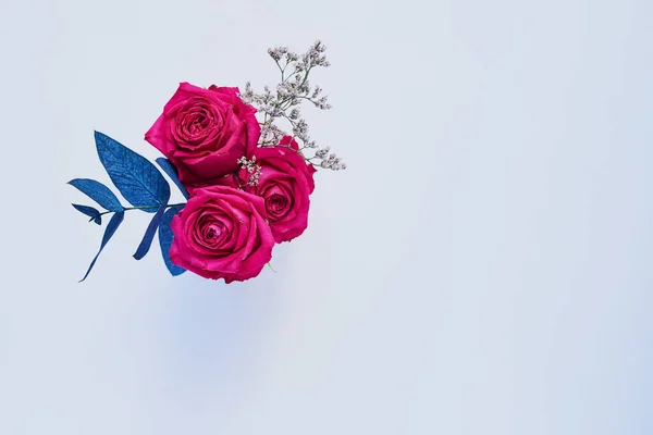 Imagine Fragrance Studio Shot Bouquet Roses Blue Leaves Placed Grey — Foto de Stock