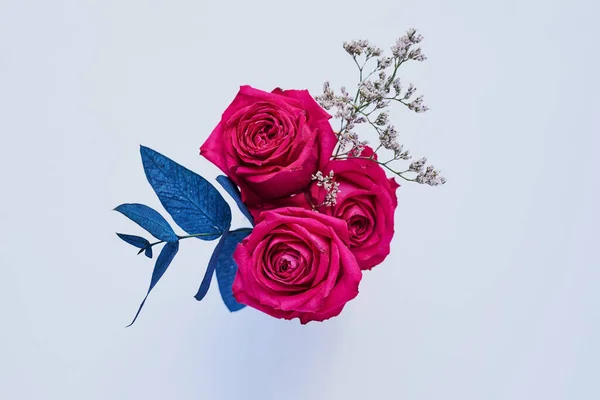 Life Beautiful Studio Shot Bouquet Roses Blue Leaves Placed Grey — Foto de Stock