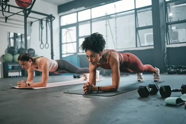 Women, plank and gym fitness friends with cardio exercise, workout and body wellness. Motivation, woman focus and challenge of people in sports training and athlete class exercising for health.
