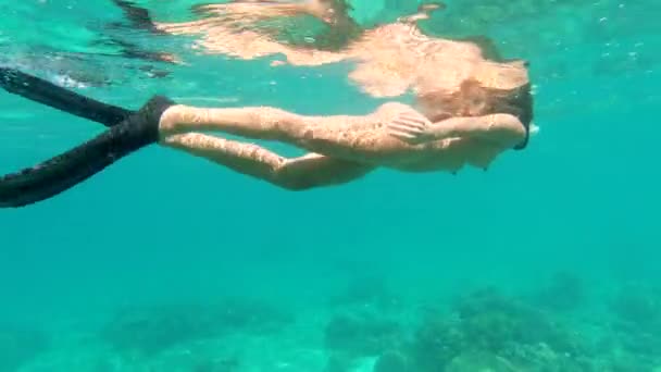 Snorkel Swim Nude Woman Tropical Water Vacation Free Diving Sea — Stockvideo