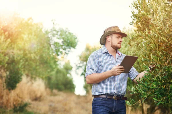Hes Intimately Connected Cycle Life Farmer Using Digital Tablet While — Φωτογραφία Αρχείου