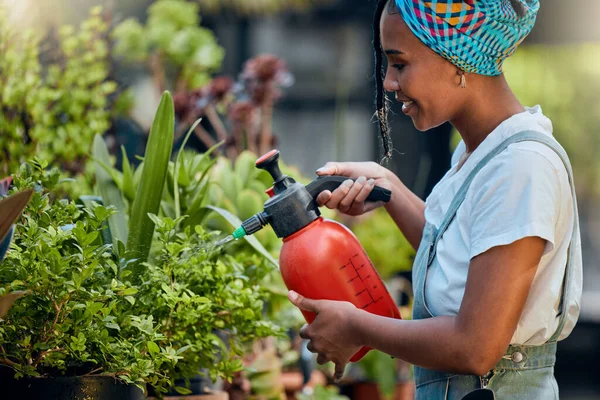 Water, plants or happy black woman gardening in small business store for healthy leaf or organic flowers growth. Irrigation, agro worker or entrepreneur watering floral agriculture smiles with pride.